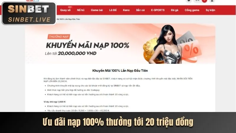 Điều khoản và điều kiện vmax link mới